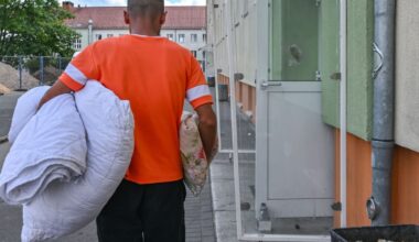 Unerlaubte Einreise: Hauptherkunftsländer Syrien und Ukraine