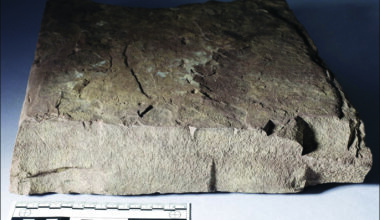 Earliest Known Rune-Stone Discovered in Norway