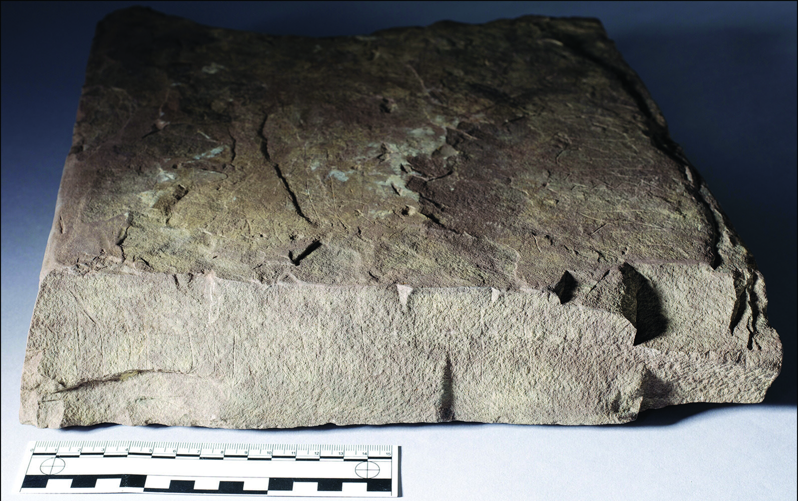 Earliest Known Rune-Stone Discovered in Norway