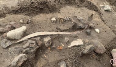 Spectacular Iron Age Weapon Sacrifice Unearthed in Denmark—Including a Rare Roman Helmet