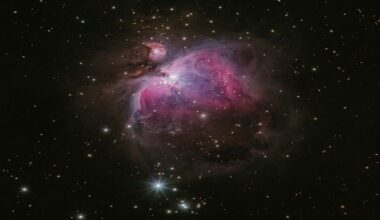 First Croatian to discover a new nebula in space, now named after him