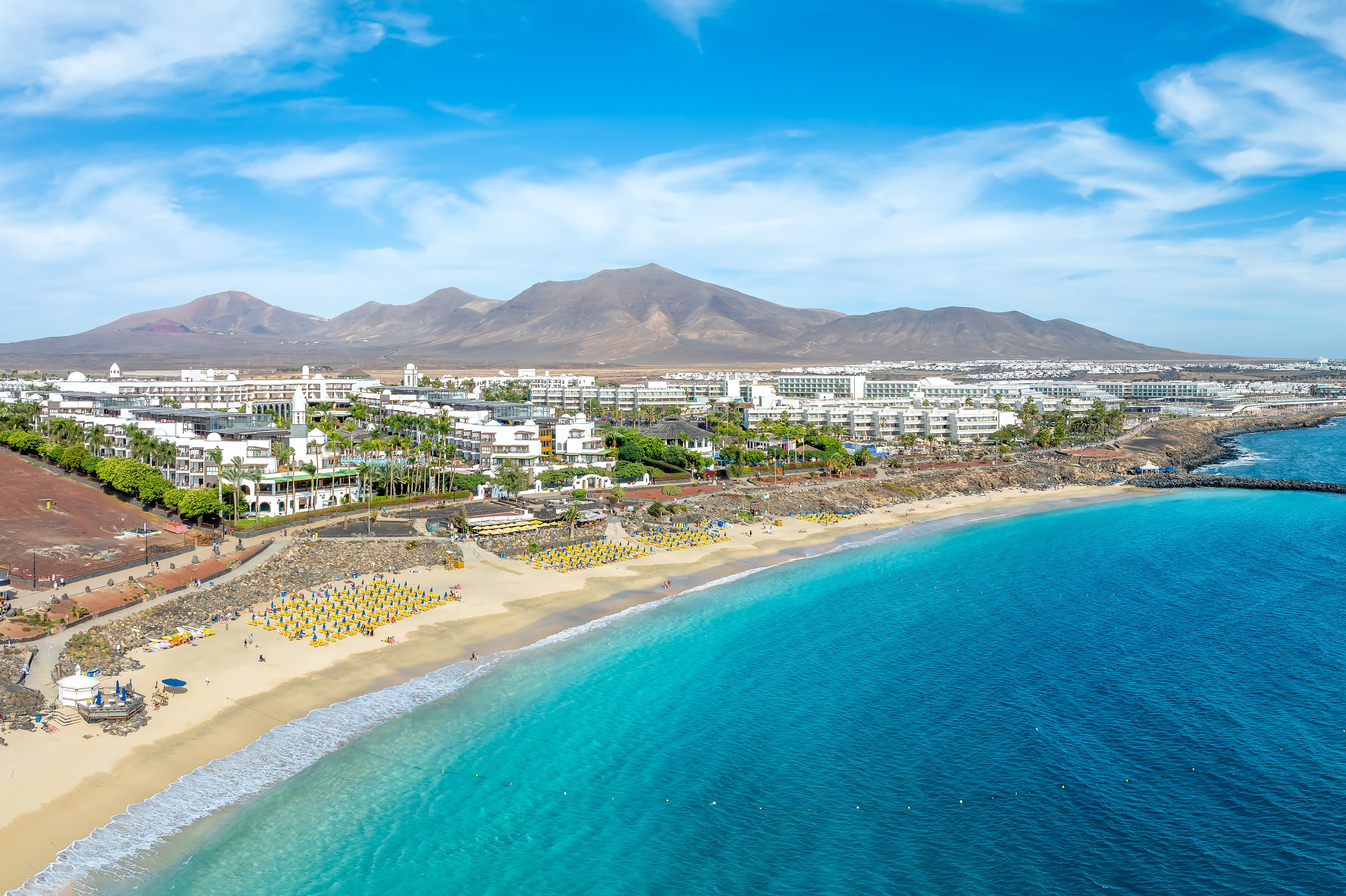 The oarfish washed up on the coast of Playa Quemada in Lanzarote