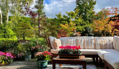 The £1 Iceland buy that’ll transform your garden furniture for spring in just 15 minutes & you likely already own it