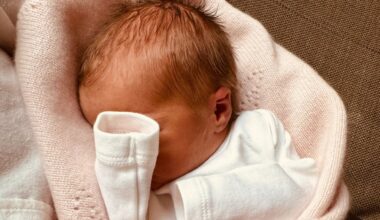 Princess Beatrice’s baby girl’s royal title revealed – and why aunt Eugenie’s sons DON’T get them – The Sun