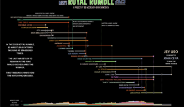Visualizing the 2025 WWE Men's Royal Rumble [OC]