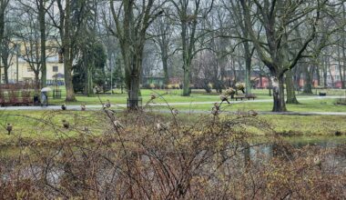 Spring will begin in Latvia next week / Article