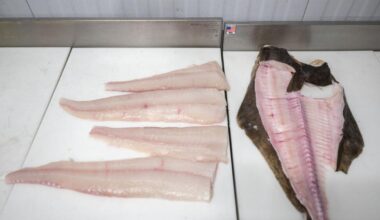 En España gusta el pez venenoso prohibido en otros países que provoca diarrea y vómitos