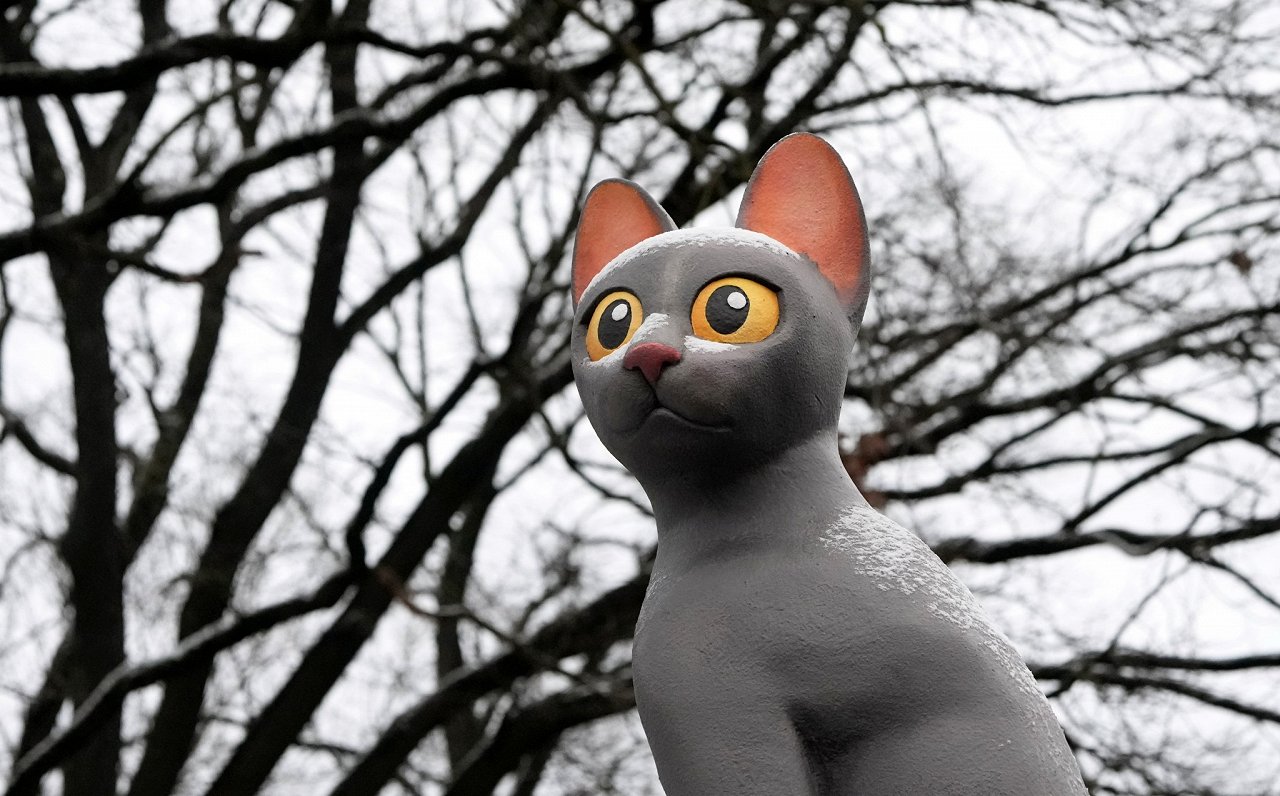 Star cat from 'Flow' sits by Freedom Monument in Rīga / Article