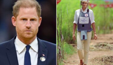 Prince Harry Says He Showed Archie Photos of Princess Diana Landmine Walk
