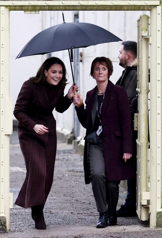 The Princess of Wales visiting a mother and baby unit.