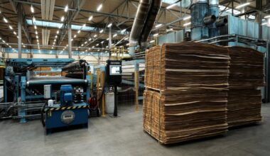 Latvian GDP fell back by 0.4% last year / Article