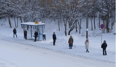 How long are these Finnish buses?