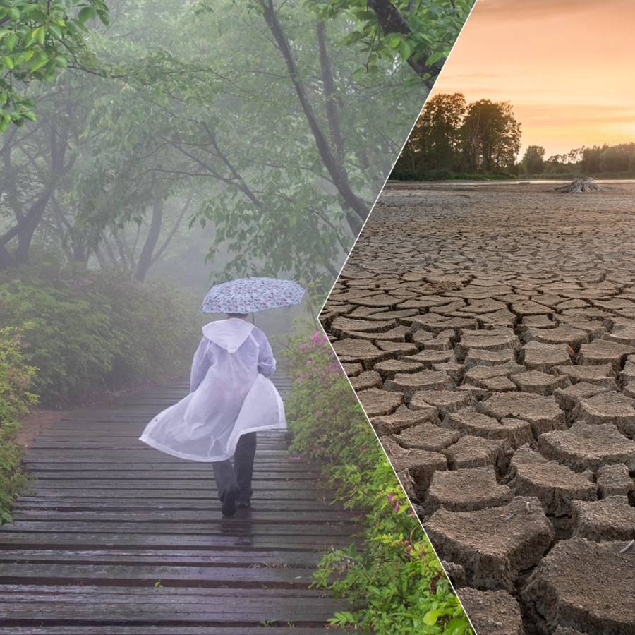 Change Consuming Patterns to Tackle Climate Change