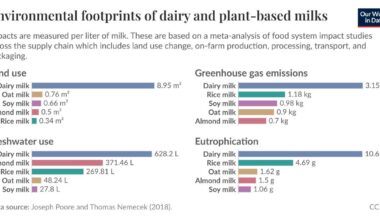 Environmental Footprints of Dairy and Plant-Based Milks