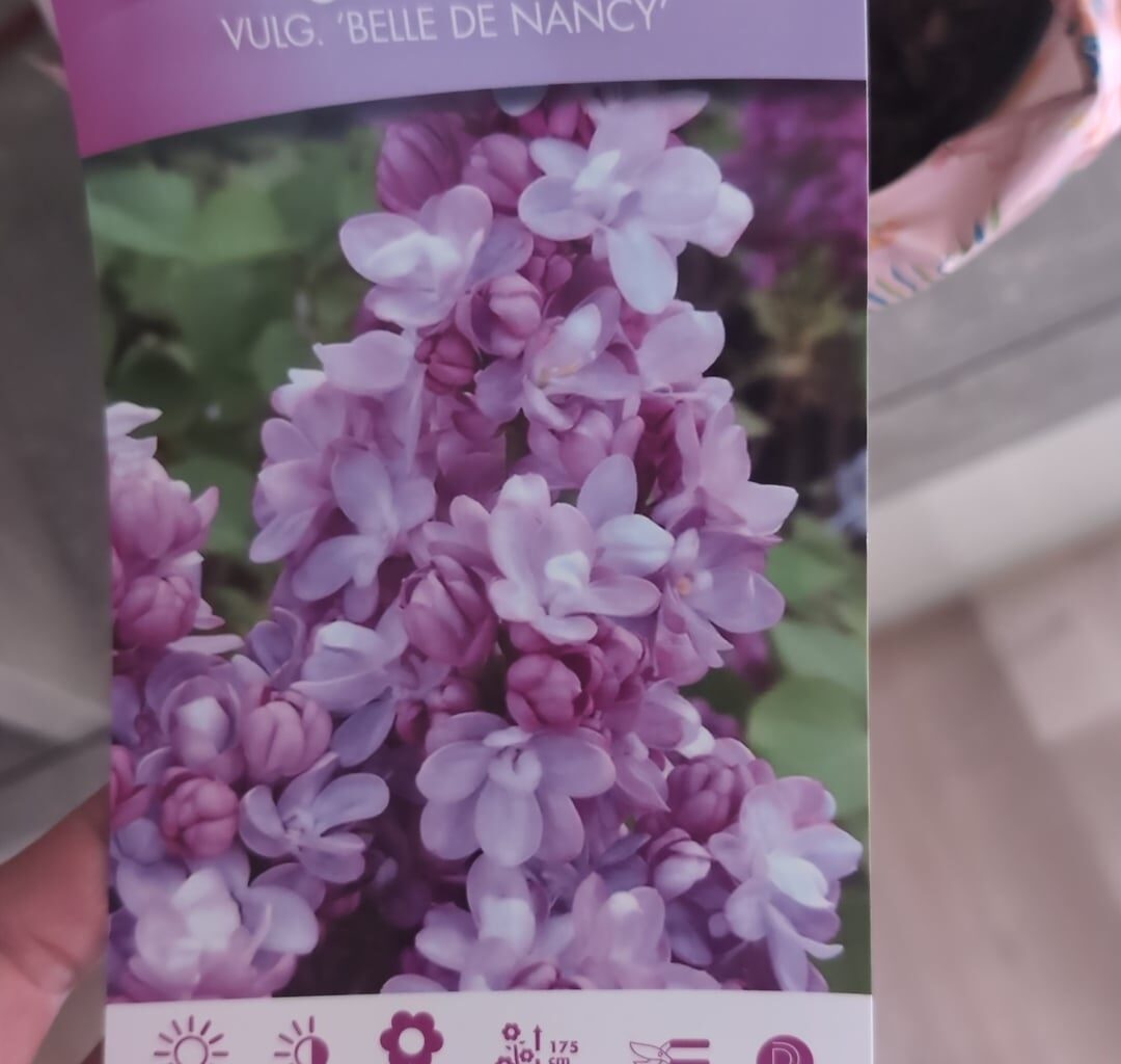 Geschenk, wann pflanzen & wie pflegen bis dahin?