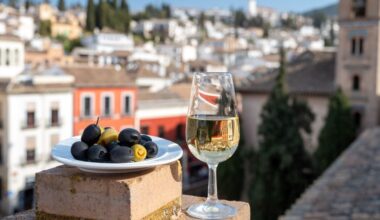 Spain wine export revenue rises in 2024 but volumes fall