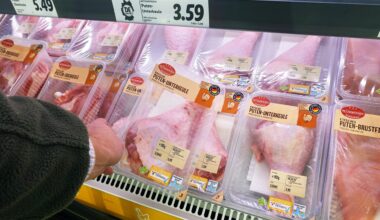 Germany’s meat production rises for first time since 2016