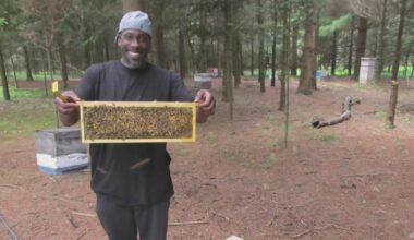 Flint's first Black beekeeper talks building his small business: "Don't give up on yourself"