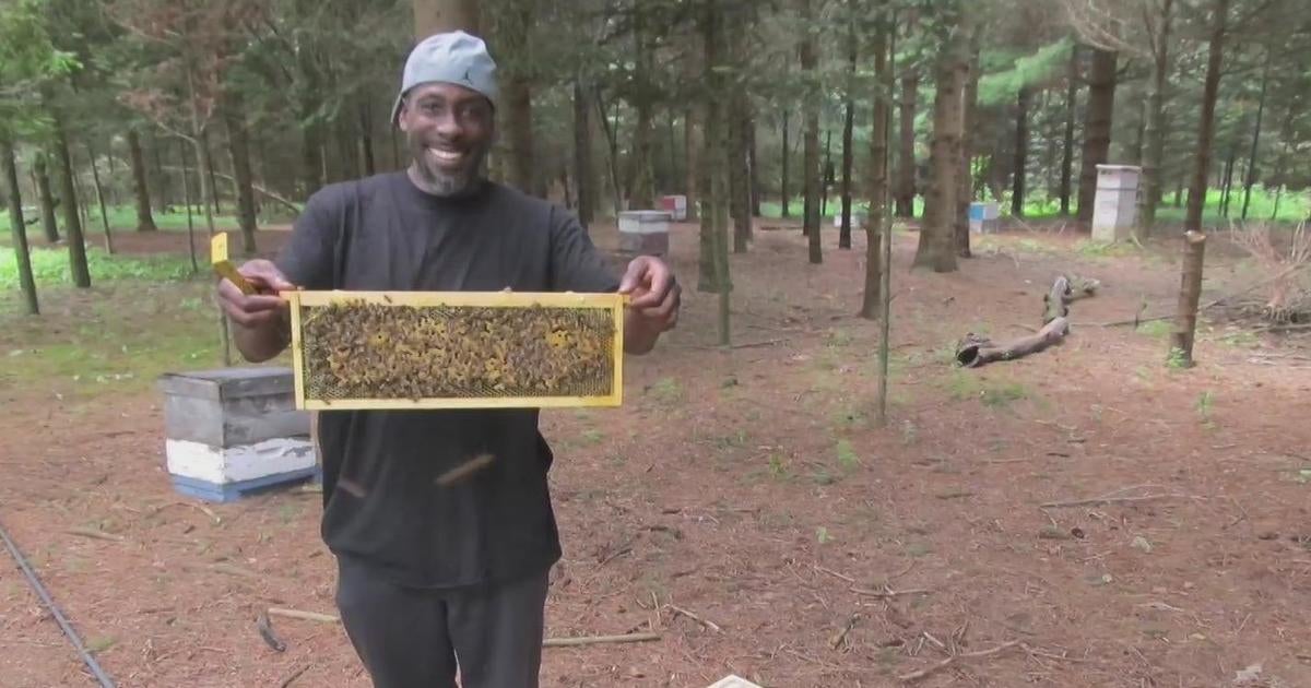 Flint's first Black beekeeper talks building his small business: "Don't give up on yourself"