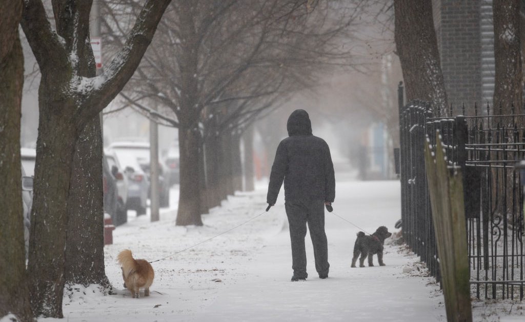 Why Climate Change Sometimes Brings Major Winter Storms