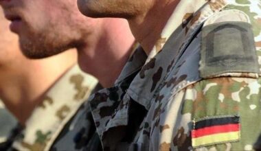 Can the Alternative for Germany save NATO?