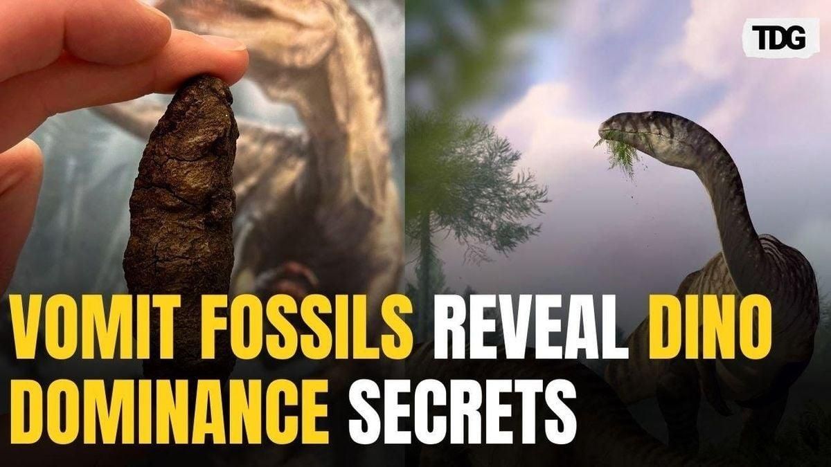 Rare Dinosaur-Era Fossilized Vomit Found In Denmark