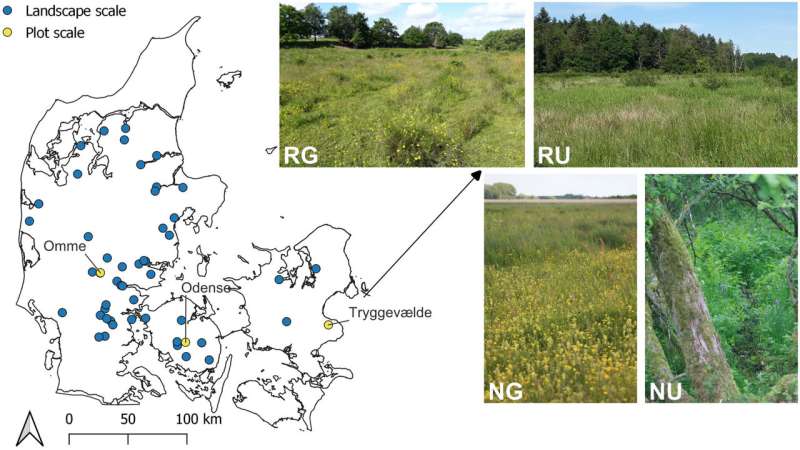 Twenty years on, biodiversity struggles to take root in restored wetlands