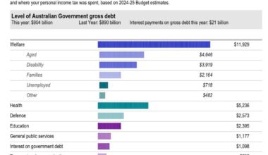 Personilized infographic from the Australian Taxation Office (ATO) showing where my tax dollars were spent [OC]