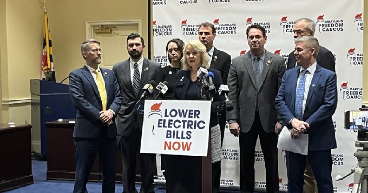 MD Freedom Caucus propose changes to lower energy bills
