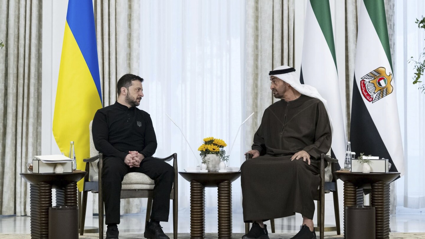 Russia-Ukraine war: Zelenskyy in UAE as momentum grows for peace talks