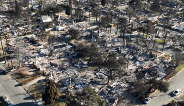 The L.A. wildfires will create opportunities and losses for the region's economy