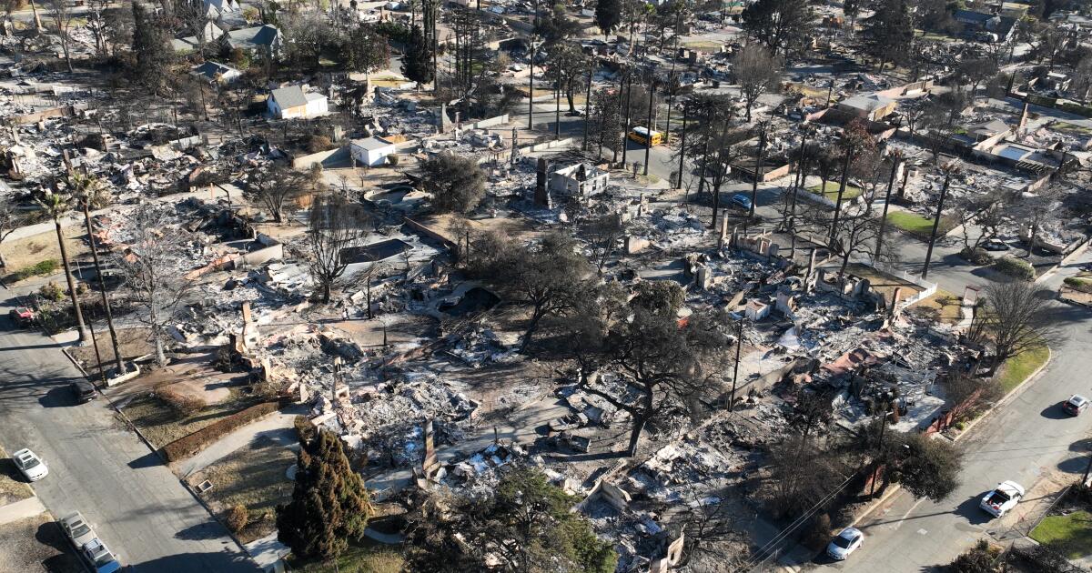 The L.A. wildfires will create opportunities and losses for the region's economy
