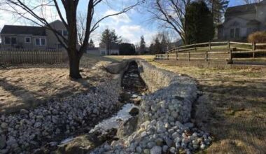 Erosion prevention project nets environmental recognition for Lake Zurich