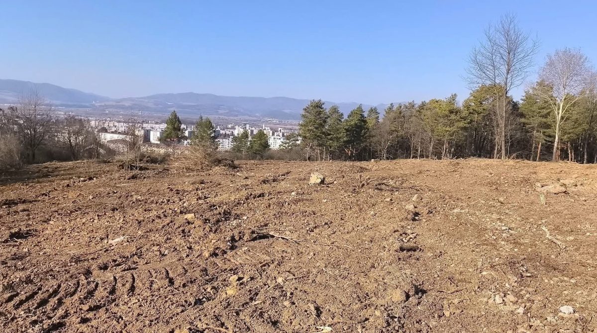 Obyvateľom Dubnice nad Váhom zmizla časť lesa