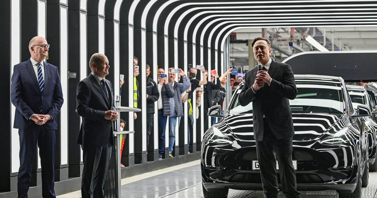 Marktanteil von Tesla in Deutschland bricht ein