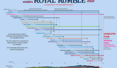 Visualizing the 2025 WWE Women's Royal Rumble [OC]