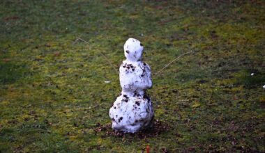 Kein Schnee: Milde Temperaturen dominieren den Winter in Deutschland zum 14. Mal in Folge