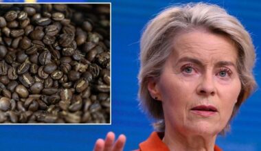 European Union declares coffee 'dangerous' as ban mirrors crisp clampdown