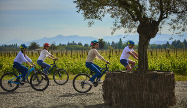 France, Italy, Spain Continue to Dominate Wine Tourism, While China, India, Moldova, and Croatia Begin to See Significant Growth