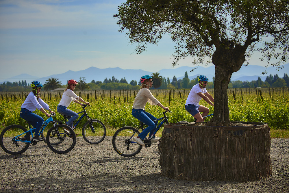 France, Italy, Spain Continue to Dominate Wine Tourism, While China, India, Moldova, and Croatia Begin to See Significant Growth