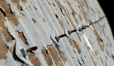 Descendants of Holocaust survivors mark 76th anniversary of Cypriot internment camps' closure