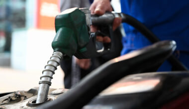 Pricing expert calls for closing of loopholes in petroleum market