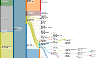 [OC] 2024 Budget for 29 year old Swedish Game Dev student living in Stockholm, Sweden