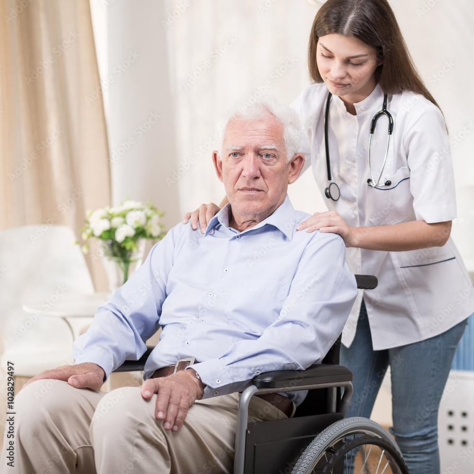 Me, when I end up in the nursing home and tell them all about the Safari Park that used to exist here