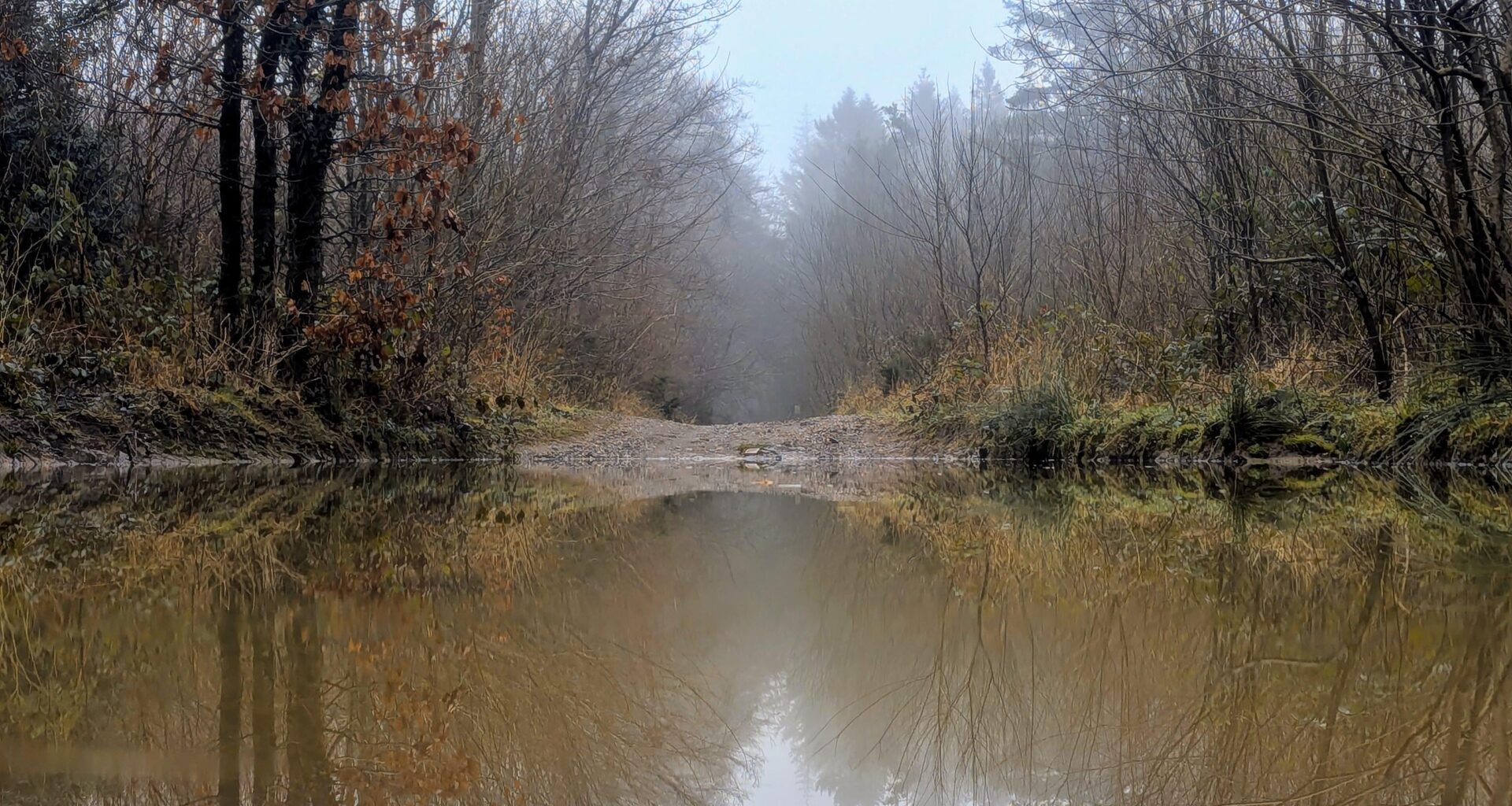 It's not a pond, it's a puddle
