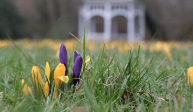7-Tage-Wettertrend: Winter verabschiedet sich aus Deutschland - Frühling im Anmarsch
