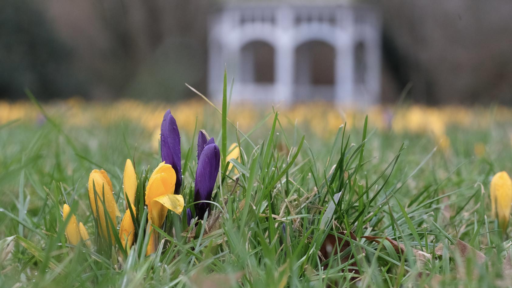 7-Tage-Wettertrend: Winter verabschiedet sich aus Deutschland - Frühling im Anmarsch