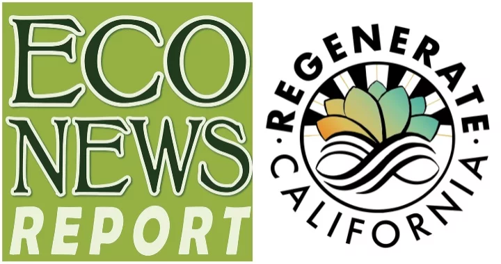 THE ECONEWS REPORT: Can Offshore Wind Retire Gas Plants? | Lost Coast Outpost