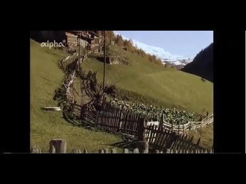 Topographie: Der Zaun (1995)