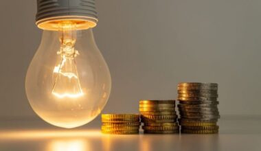 EU offers electricity compensation to businesses in Moldova